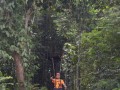 Tn DSC 4330